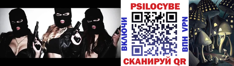 Галлюциногенные грибы Cubensis  где найти   Славск 